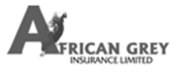 African Grey Insurance - Fastest Growing Insurance Firm in Zambia